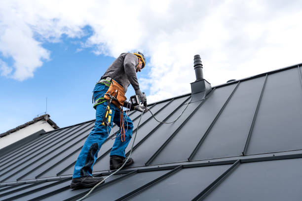 Best Solar Panel Roofing Installation  in Peach Springs, AZ