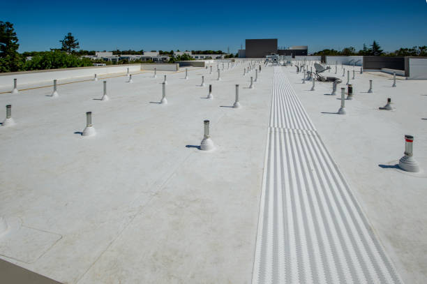 Steel Roofing in Peach Springs, AZ